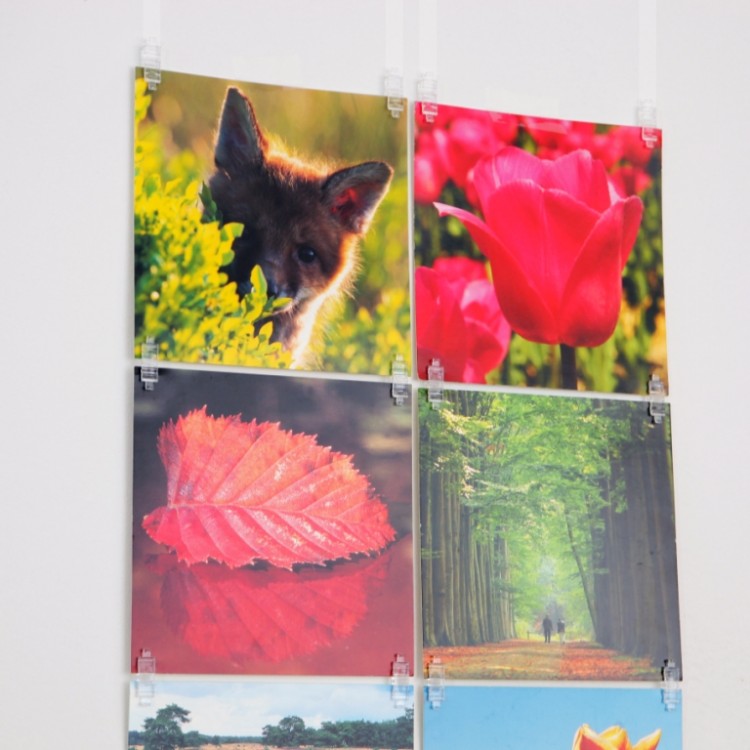 STAS picture hits - pinces en plastique transparentes pour accrocher des photos, des cartes