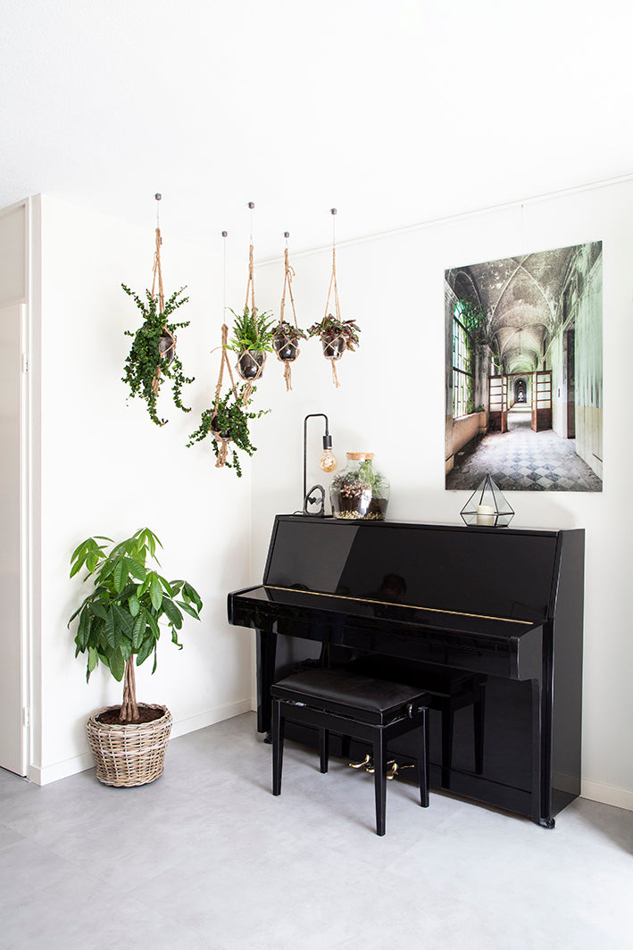 Suspendez œuvres avec STAS qubic, aluminium minimaliste, cordons tailles variables, idéal présentation.