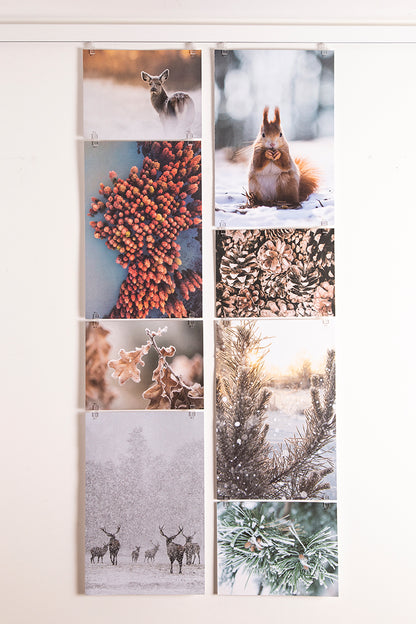 STAS picture hits, collage photos rapide.