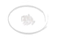 STAS picture hits - pinces en plastique transparentes